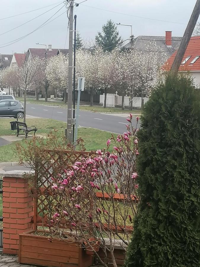 Marina-Buek Apartmanhaz Eksteriør bilde